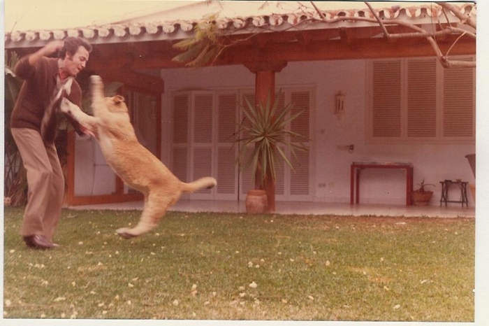 Felice Cultrera Scrittore contemporaneo - Foto